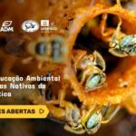 Banner Site