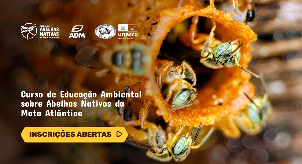 Banner Site