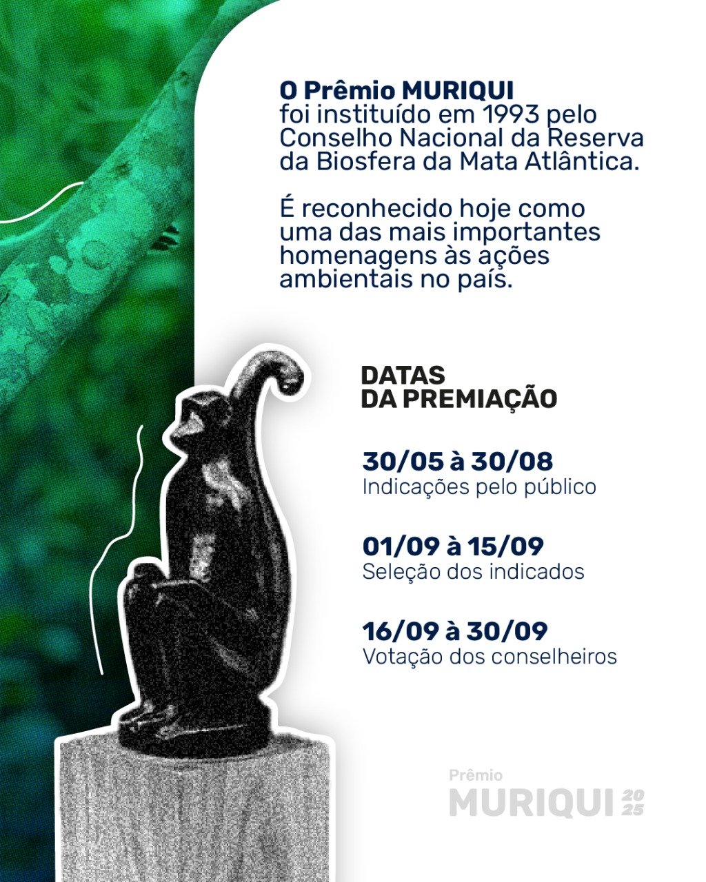 Whatsapp image 2025 06 03 at 10.10.12