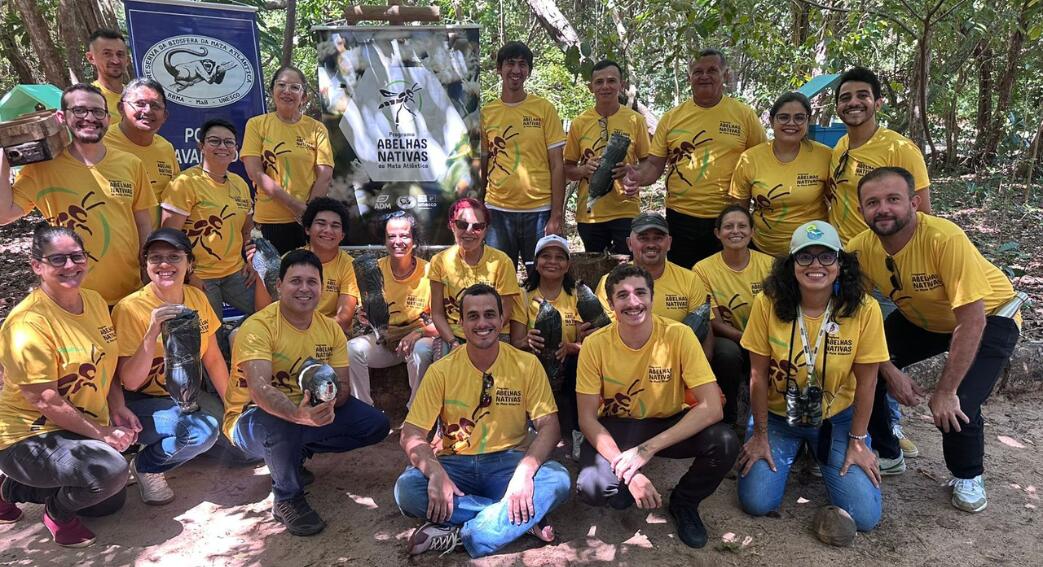 Template notícias (3)