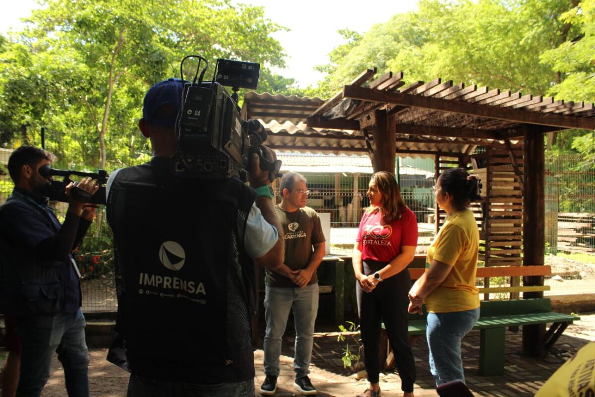 WhatsApp Image 2026 03 07 at 18.37.40