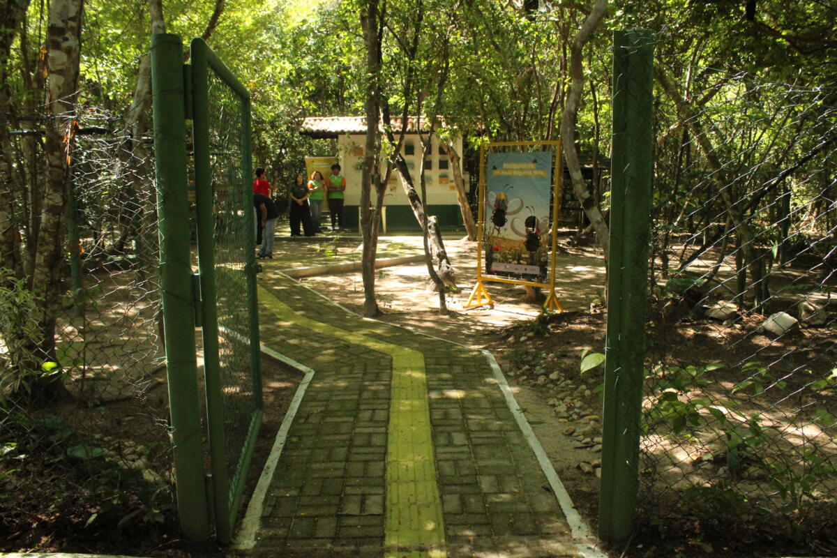 Parque do Botanico.JPG
