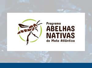 Programas destaques.abelhas