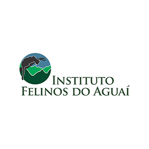 Felinos