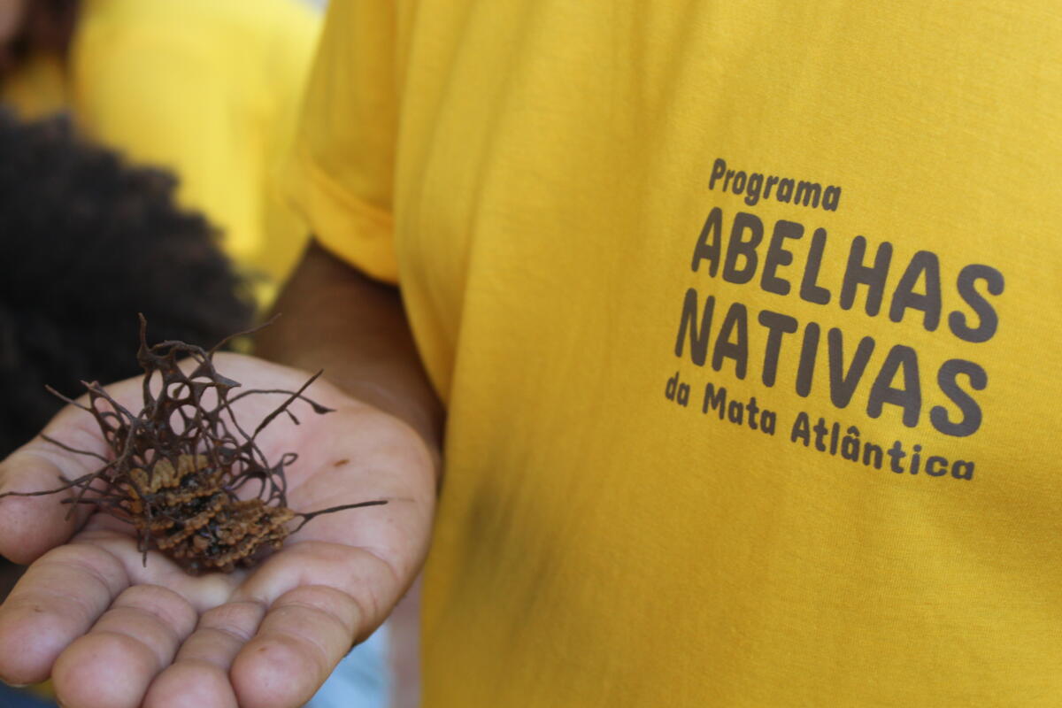 Meliponário Parque Muritiba (BA). Fotos Rafael Almeida (5)