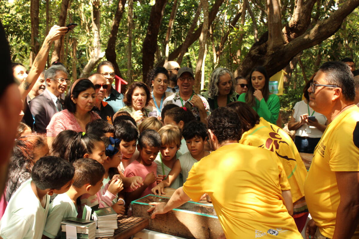 Meliponário Parque das Dunas (RN). Foto João Vital (2)