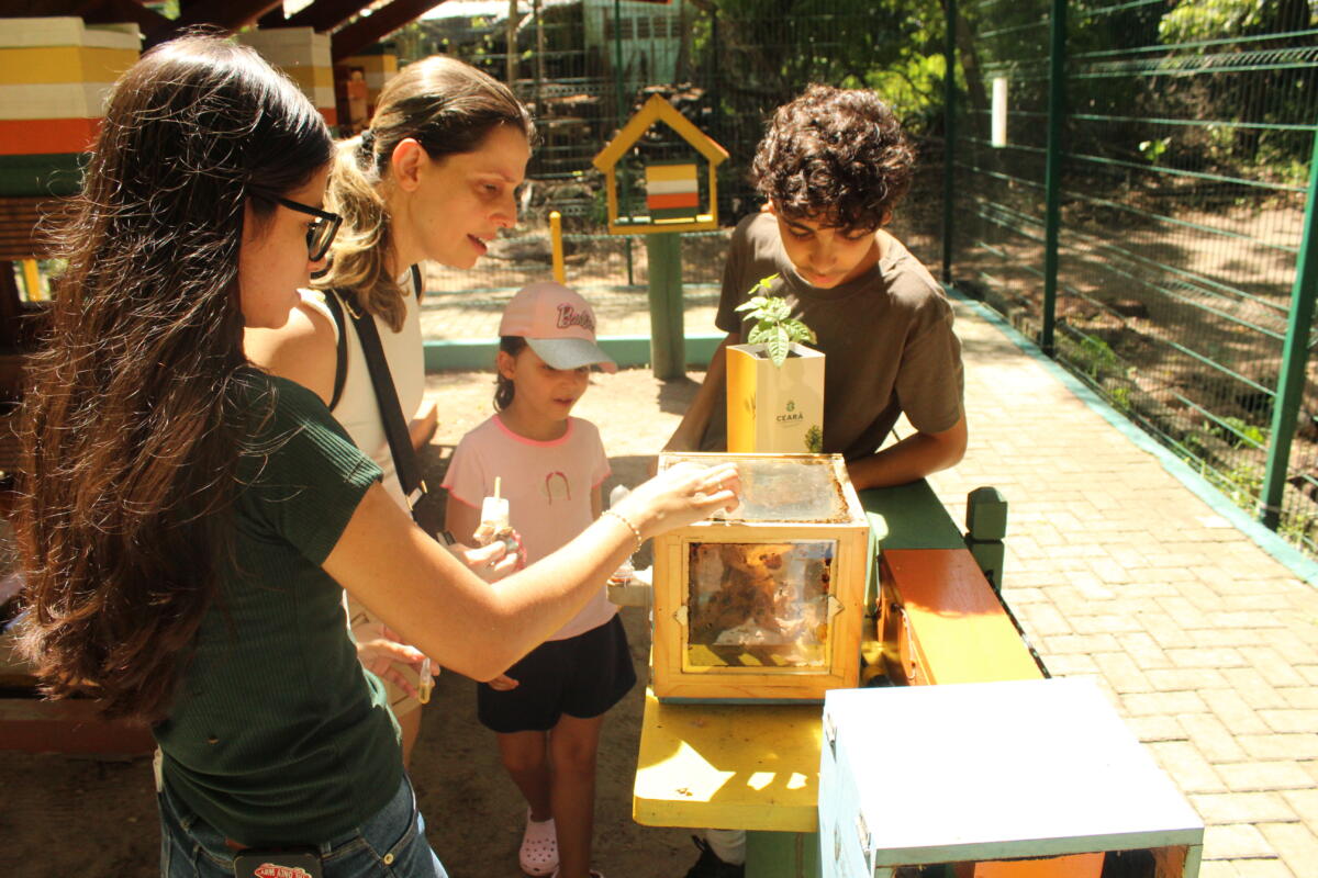 Meliponário Parque do Cocó (CE). Fotos Rafael Almeida (2)